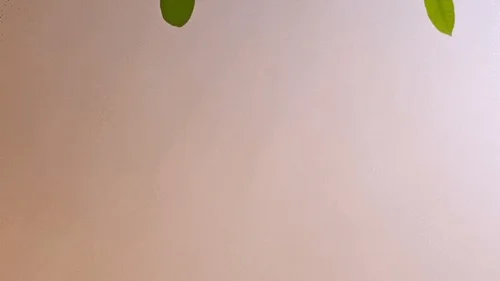 Missesjenny - Giantess MILF Masturbation POV