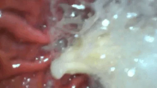 Nicoletta Embassi - Banana digestion full video - Extreme Vore in very high resolution 720HD