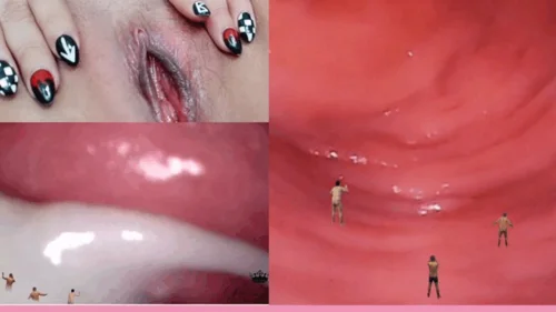 Giantessdebora - Giantess pussy endoscopy vs micro man