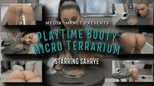 Media Impact Customs - Playtime Booty Micro Terrarium HD