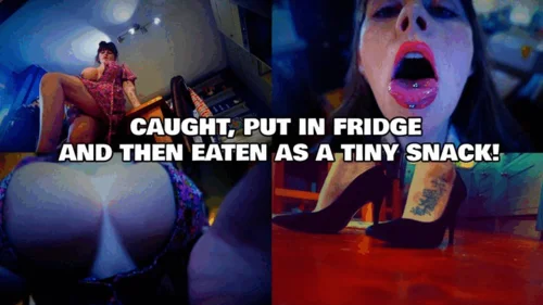 Sydneys Vids - Caught, Put In Fridge And Then Eaten As A Tiny Snack!