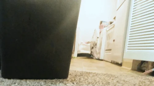 Mxdominionakacrushgoddess Clips - Tiny human running through Giantess Home POV 1080