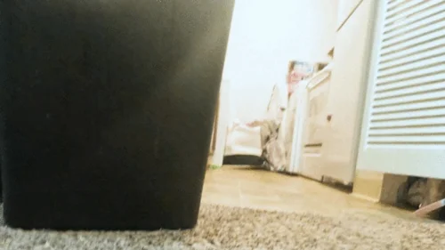 Mxdominionakacrushgoddess Clips - Tiny human runinng through Giantess Home POV 4k