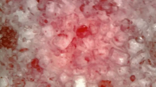 Nicoletta Embassi - Devouring Haribo Chamallows Ruby with microcamera in mouth - Happy Valentine Day 720HD