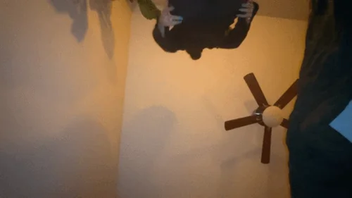 Giantesssammie - Tiny Friend Gets Stomped