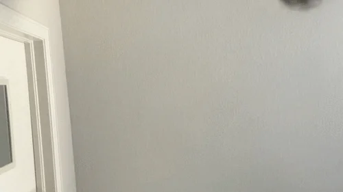 Giantesssammie - Sammie's tiny slave get boob crushed - Nude Version