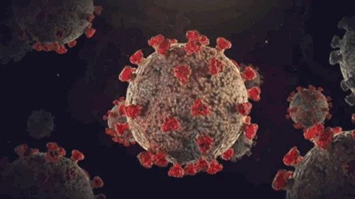 Cruel Claudia - CC - Virus apocalypse Sfx