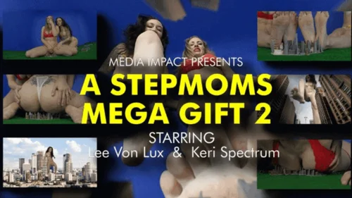 Media Impact Customs - Stepmoms Mega Gift 2