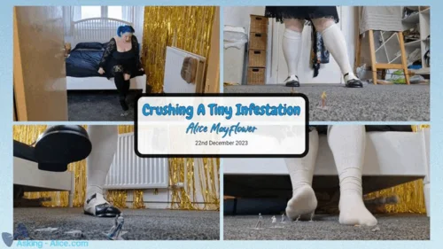 Alice Mayflower's Videos - Crushing A Tiny Infestation - Solo Girl
