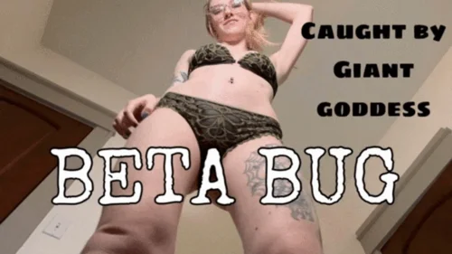 Lucy Spanks - Beta Bug CAUGHT By Giantess Goddess