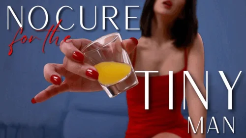Miss Amina Rose - No Cure For The Tiny Man