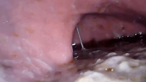 Nicoletta Embassi - Lots of sushi and exploration Microcamera - Extreme Vore video 720HD