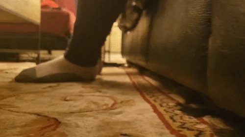 Giantess Emberlynne Creations - Squishing Another Tiny POV