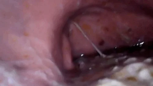 Nicoletta Embassi - Complete video in Full Screen I eat a lot of sushi at home - The inside of my stomach and the first part of my mouth 720HD