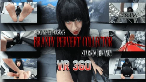 Media Impact Customs - Brandy Pervert Collector VR 360