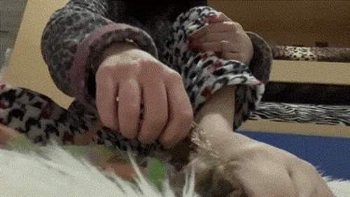 Superior Feet - Predisposition in domination