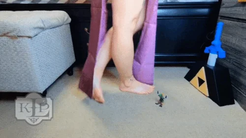 Ladykassandra - LoZ: Life After Hyrule - Link's First Lesson in Obedience