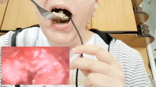 Nicoletta Embassi - Eating rice - Swallowing large Microcamera - Extreme Vore Exploration 1080HD