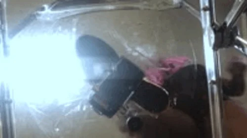 Mxdominionakacrushgoddess Clips - Police get Crushed by Giantess Giant Ass 1080