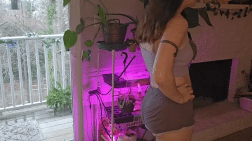 Juniperwoodsy - Giantess teasing and butt crushing