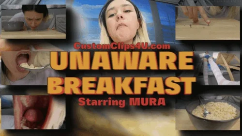 Media Impact Customs - Mura Unaware Breakfast HD