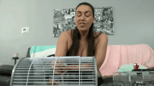Ginary's Giantess Adventures - Villainess Megan Jones Dominates Shrunken Superhero (HD 1080p MP4)