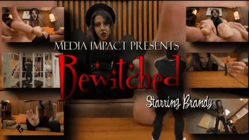 Media Impact Customs - Bewitched Revenge FX HD