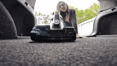 Madame Marissa - Curious tiny guy gets vacuumed up and dumped in the trash