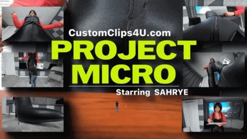 Media Impact Customs - Sahrye Micro Project FX HD