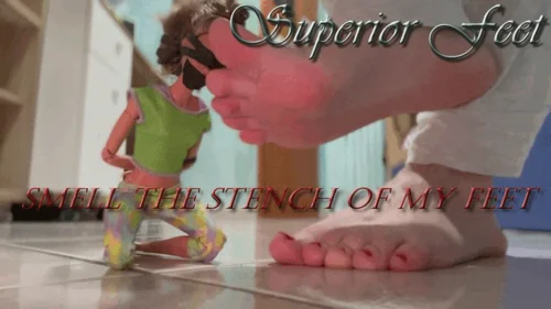 Superior Feet - Smell the stench of My feet