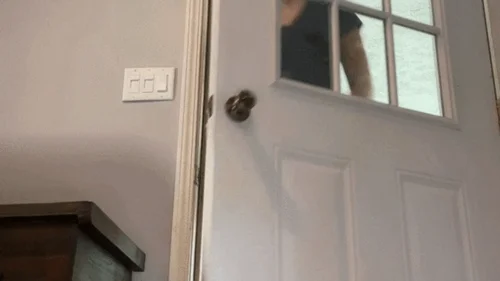 Giantess Ashton - Roommate Agreement