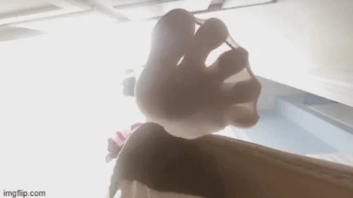 Shrink U Down - View from LilMizzUnique's shoe VR4K