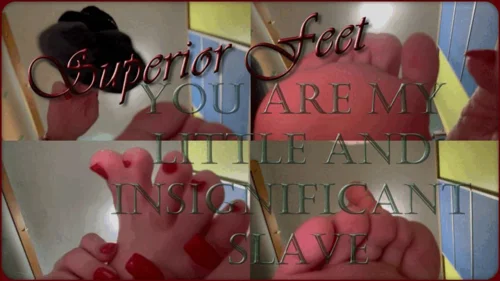 Superior Feet - You are My little and insignificant slave