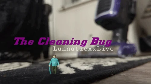 Lunnaticxxlive - The Cleaning Bug