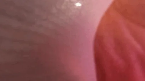 Mxdominionakacrushgoddess Clips - Teenie Trapped in Giantess Sock POV 1080