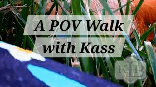 Ladykassandra - A POV Walk With Kass