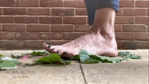 Bornroyal Feet - Giantess crushes leaves
