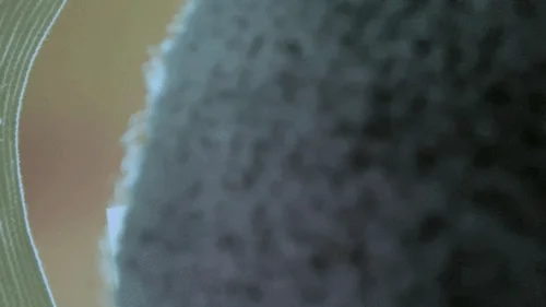 Mxdominionakacrushgoddess Clips - Teenie in Giantess Laundry Basket POV 4k