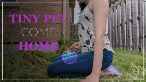 Madamestephaniemason - A Pet Returns