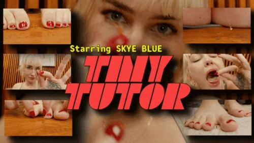 Media Impact Customs - Skye Blue in Tiny Tutor HD