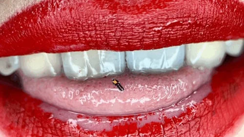 Goddess Gwendolyn - A small adventure of a tiny in the mouth of a giantess with red lips