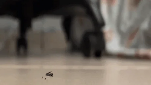 Thegoddessfilms - A giantess room
