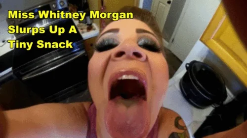 Miss Whitney Morgans Clips - Miss Whitney Morgan Slurps Up A Tiny Snack - mp4