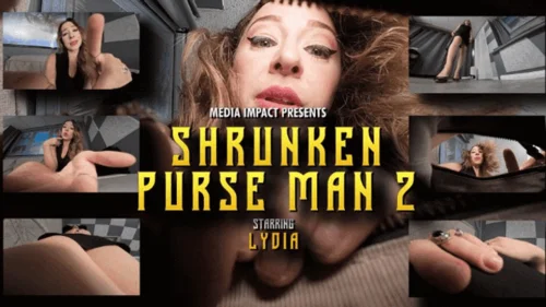 Media Impact Customs - Shrunken Purse Man 2
