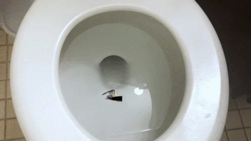 Mxdominionakacrushgoddess Clips - Tiny Ship in Giantess Toilet 1080