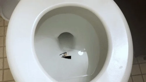 Mxdominionakacrushgoddess Clips - Tiny Ship in Giantess Toilet 4k