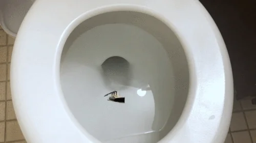 Mxdominionakacrushgoddess Clips - Tiny Ship in Giantess Toilet 4k smaller