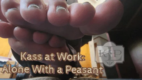 Ladykassandra - Alone at Work Foot Tease