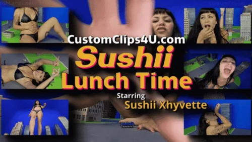 Media Impact Customs - Sushii Lunch Time