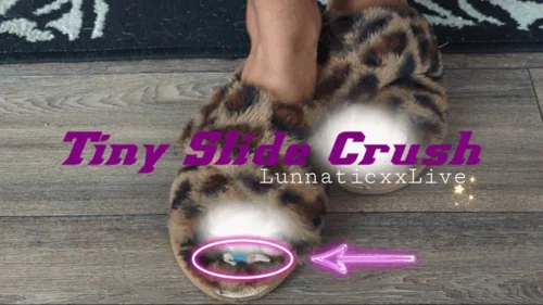 Lunnaticxxlive - Tiny Slide Crush
